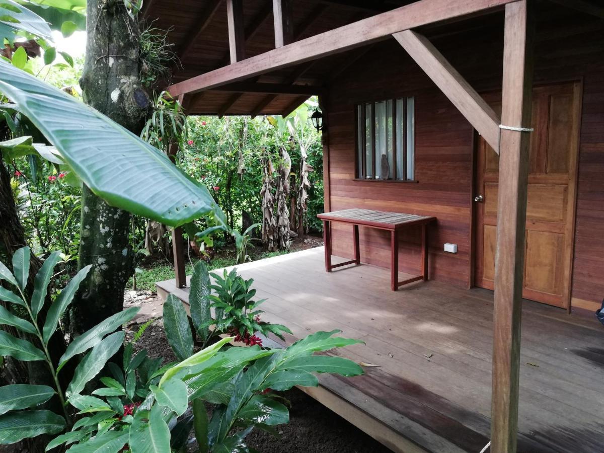 La Tarima Del Colibri Ecolodge El Valle  Exterior photo