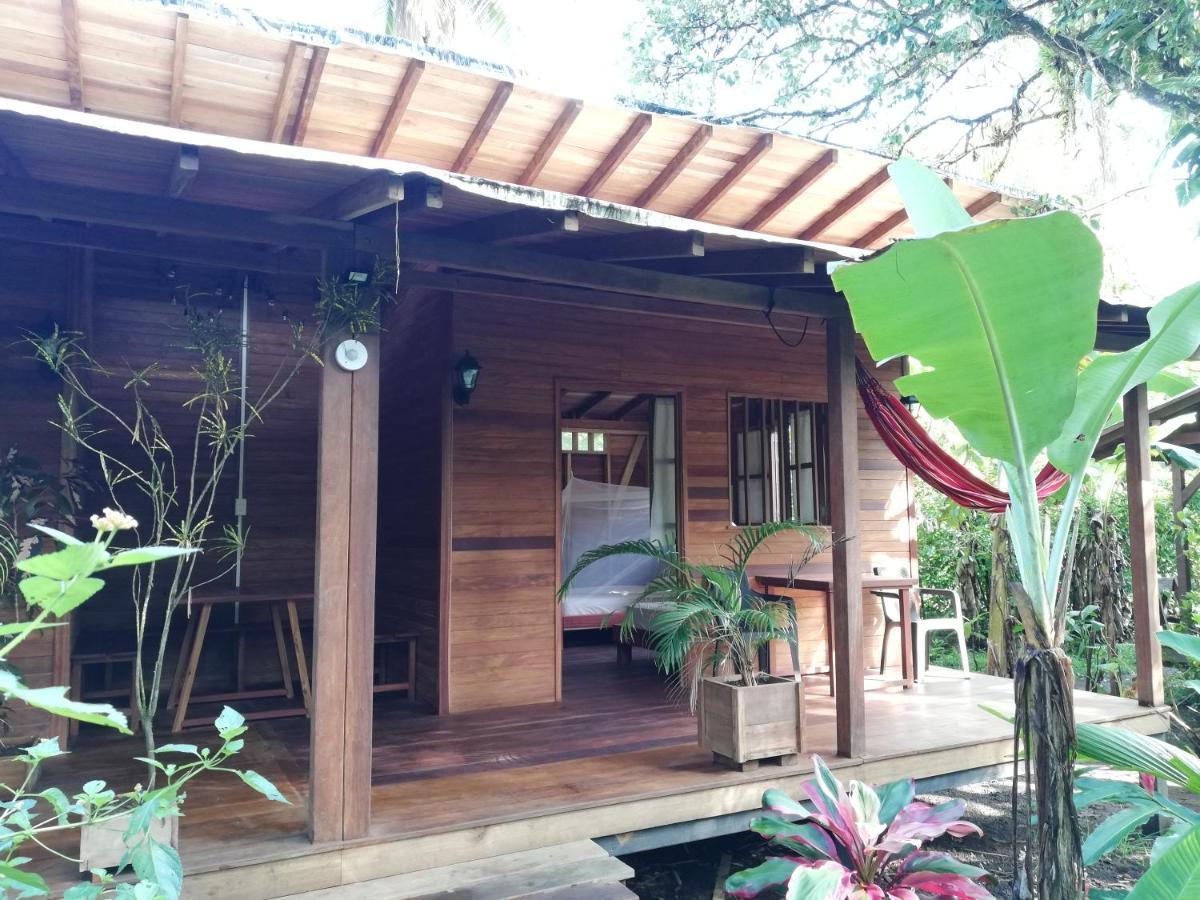 La Tarima Del Colibri Ecolodge El Valle  Exterior photo