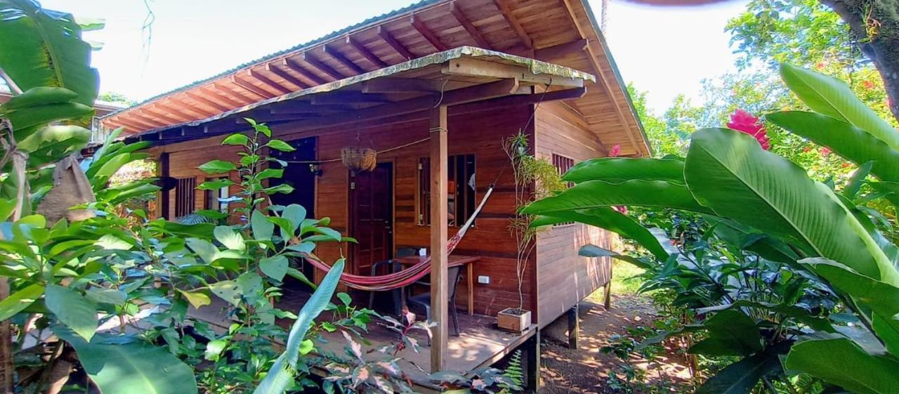 La Tarima Del Colibri Ecolodge El Valle  Exterior photo