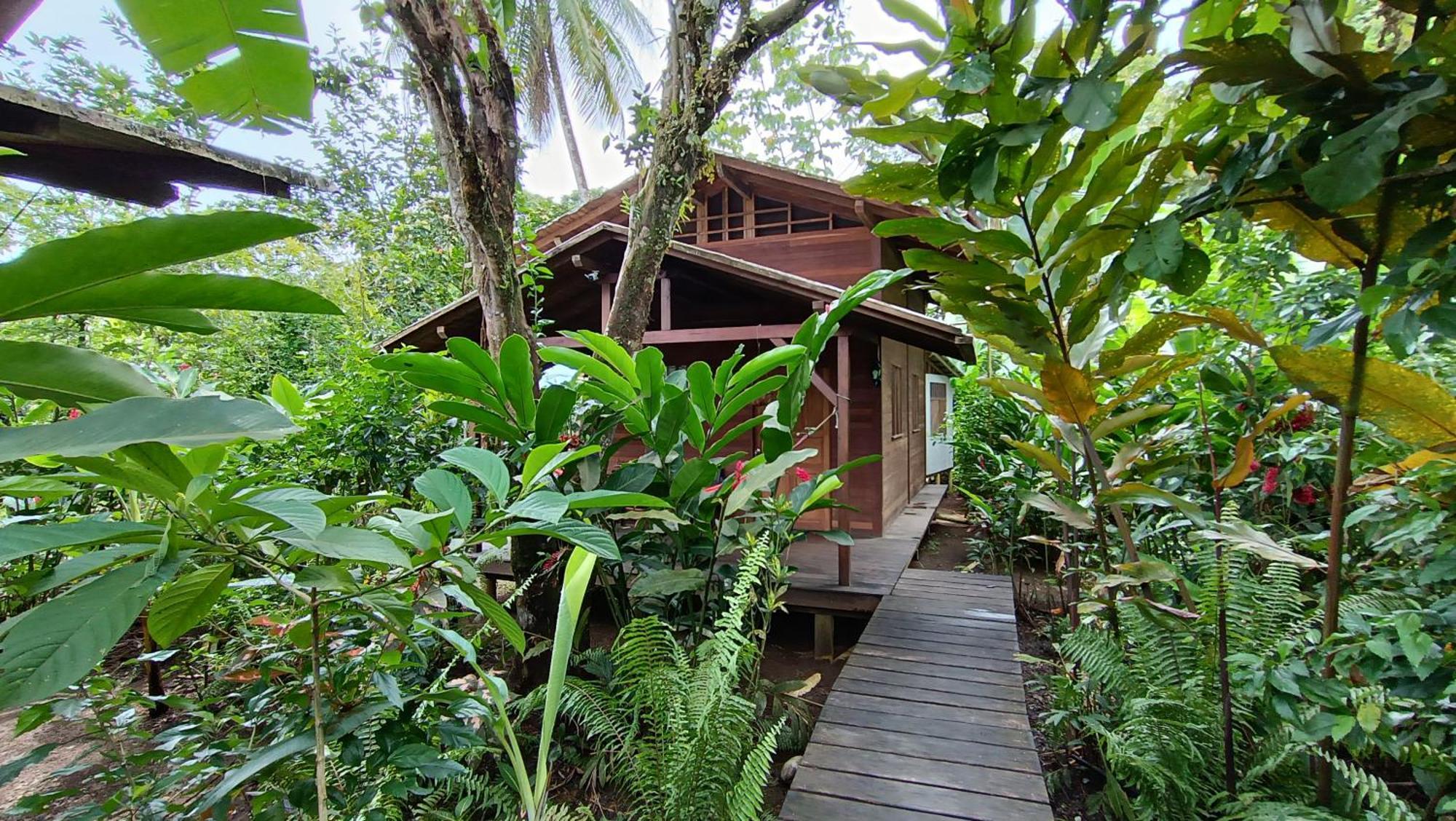 La Tarima Del Colibri Ecolodge El Valle  Exterior photo