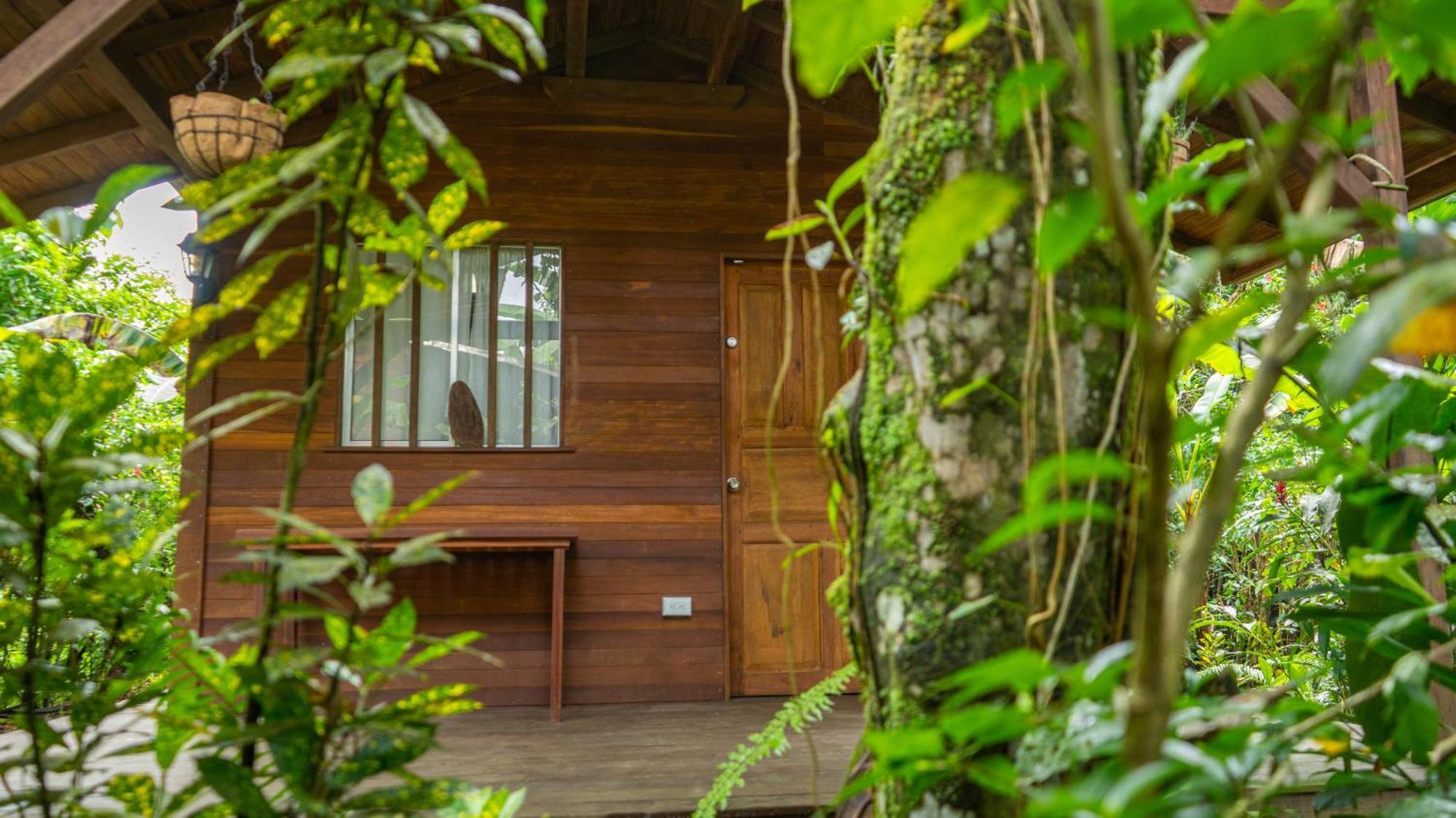 La Tarima Del Colibri Ecolodge El Valle  Exterior photo