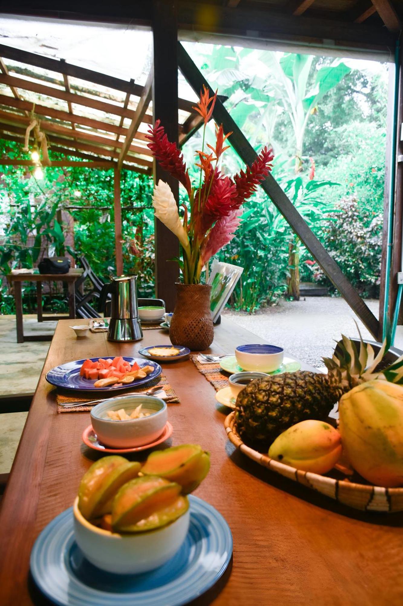 La Tarima Del Colibri Ecolodge El Valle  Exterior photo