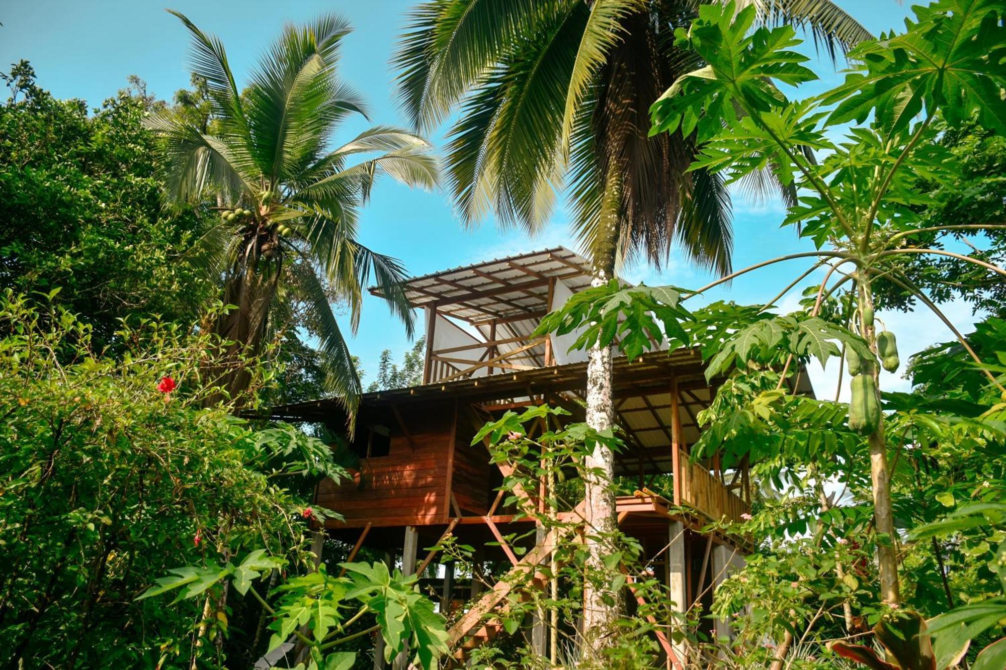 La Tarima Del Colibri Ecolodge El Valle  Exterior photo